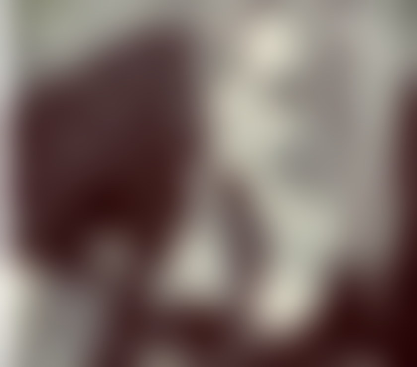 Trans Escorts Lancashire Blackpool -